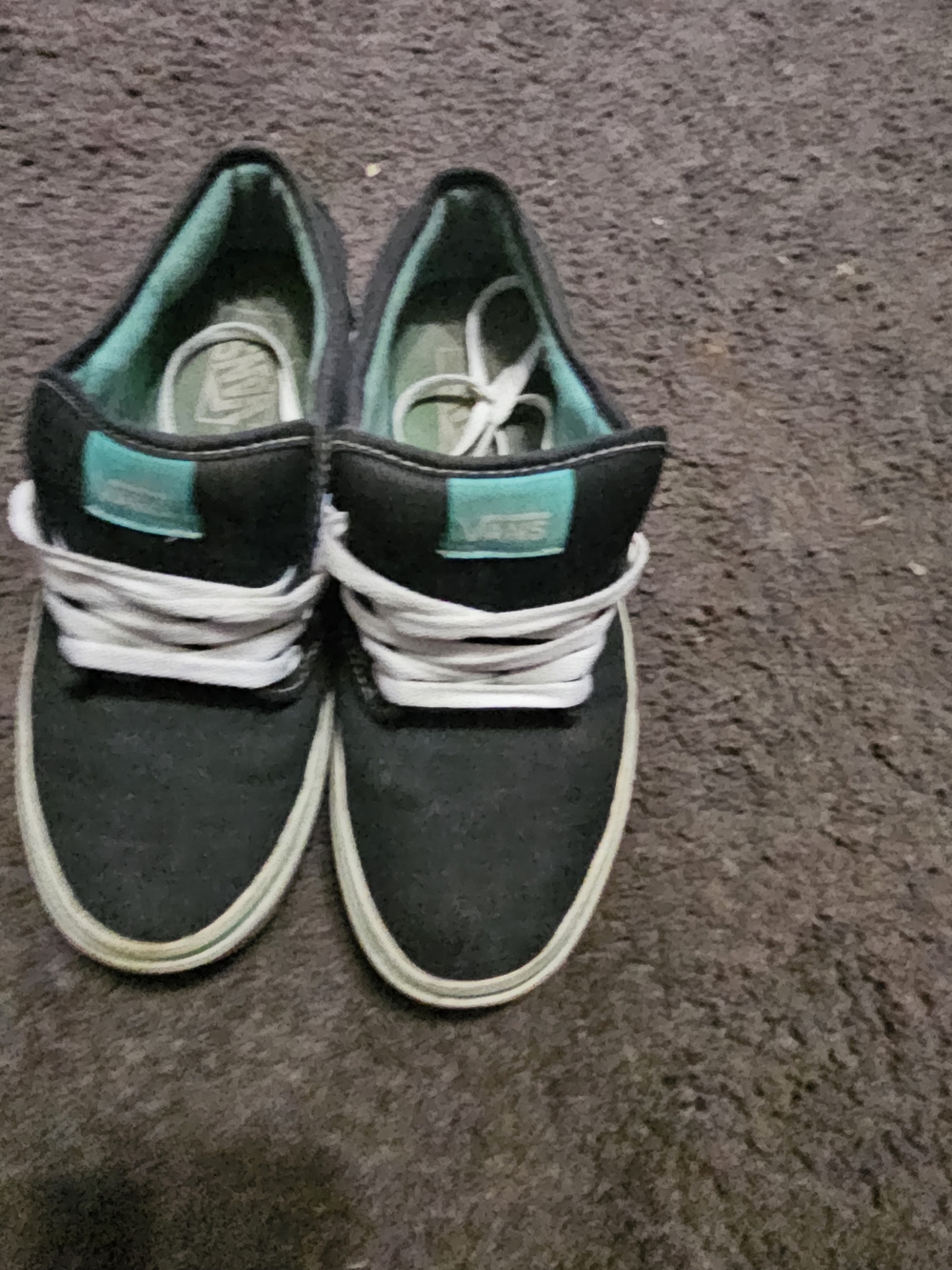 Vans GreenCanvas Low-Top Sneakers with Teal Accents